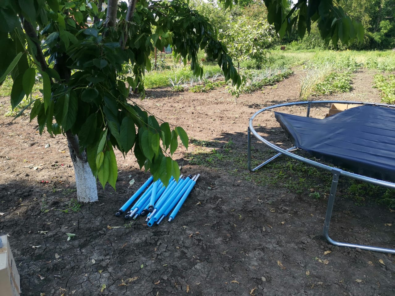 WhatsApp Image 2021-06-14 at 18.09.49 (1).jpeg WhatsApp Image 2021-06-14 at 18.09.49 (1).jpeg