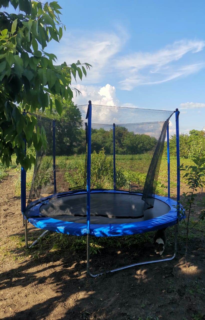 WhatsApp Image 2021-06-14 at 18.09.52 - копия.jpeg WhatsApp Image 2021-06-14 at 18.09.52 - копия.jpeg