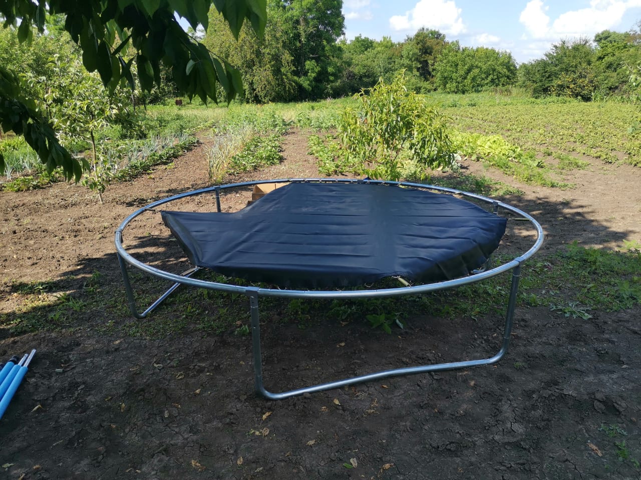 WhatsApp Image 2021-06-14 at 18.09.49.jpeg WhatsApp Image 2021-06-14 at 18.09.49.jpeg